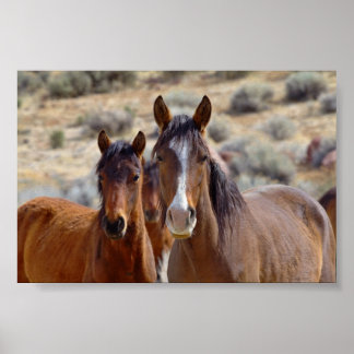 Mam met Teenage Foal Poster