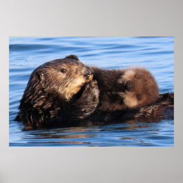 Mam Zee Otter en haar Schattig Pup Poster