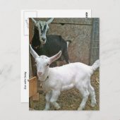 Mam Zoe met Little Daisy Briefkaart (Voorkant / Achterkant)