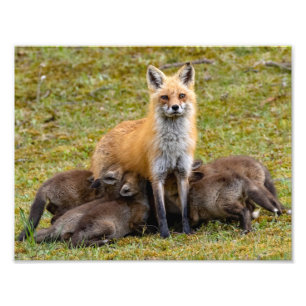 Mam zorgt voor een familiemaaltijd foto afdruk