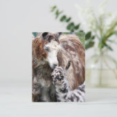 Mama & Baby Llama Kiss Briefkaart (Staand voorkant)