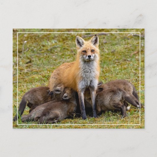 Mama be Like Briefkaart (Voorkant)