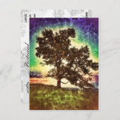 mama beech briefkaart (Voorkant / Achterkant)