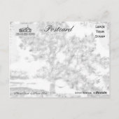 mama beech briefkaart (Achterkant)