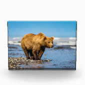 Mama beer kijkt naar haar twee kinderen fotoblokken (Voorkant)