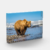 Mama beer kijkt naar haar twee kinderen fotoblokken (Links)