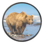 Mama beer kijkt naar haar twee kinderen hockey puck (Voorkant)