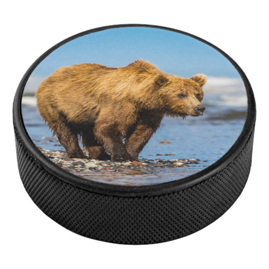 Mama beer kijkt naar haar twee kinderen hockey puck (3/4)