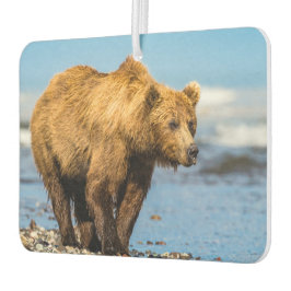 Mama beer kijkt naar haar twee kinderen luchtverfrisser