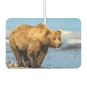 Mama beer kijkt naar haar twee kinderen luchtverfrisser (Voorkant)