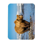 Mama beer kijkt naar haar twee kinderen magneet (Verticaal)