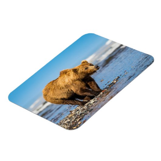 Mama beer kijkt naar haar twee kinderen magneet (Linkerzijde)