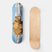 Mama beer kijkt naar haar twee kinderen persoonlijk skateboard (Voorkant)