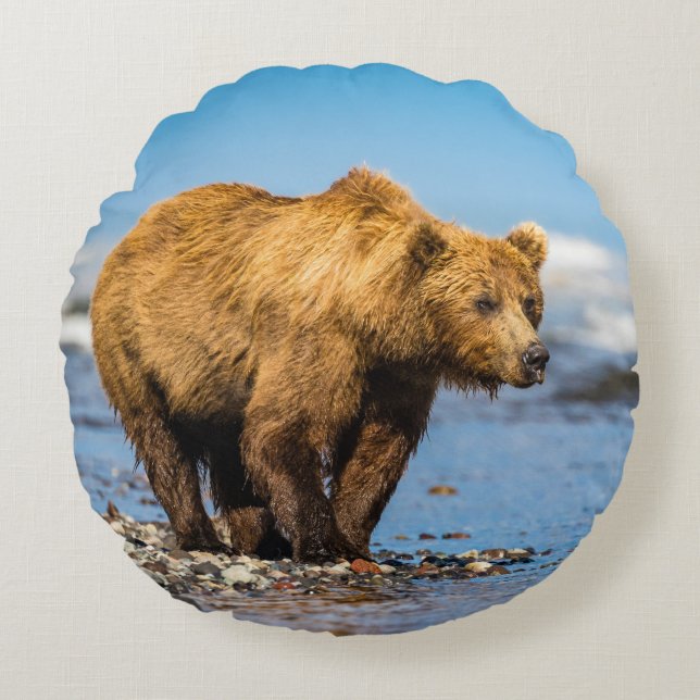 Mama beer kijkt naar haar twee kinderen rond kussen (Voorkant)