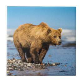 Mama beer kijkt naar haar twee kinderen tegeltje