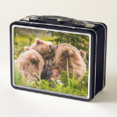 Mama beer verzorgt haar twee cubs, Lake Clark Nati (Achterkant)