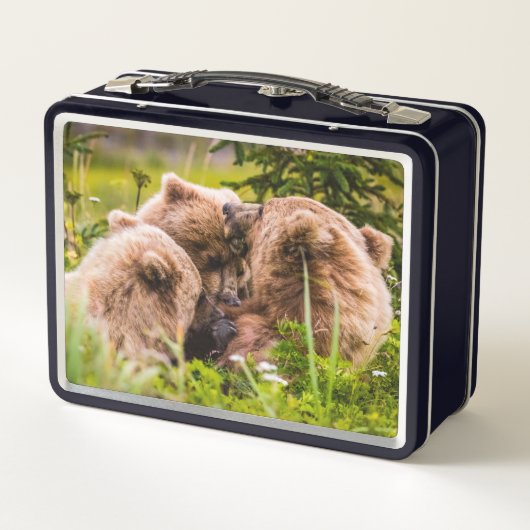 Mama beer verzorgt haar twee cubs, Lake Clark Nati (Achterkant)