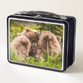 Mama beer verzorgt haar twee cubs, Lake Clark Nati (Voorkant)