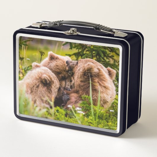 Mama beer verzorgt haar twee cubs, Lake Clark Nati (Voorkant)