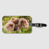 Mama beer verzorgt haar twee cubs, Lake Clark Nati Bagagelabel (Voorkant (horizontaal))