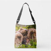 Mama beer verzorgt haar twee cubs, Lake Clark Nati Crossbody Tas (Voorkant)