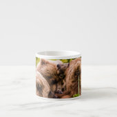 Mama beer verzorgt haar twee cubs, Lake Clark Nati Espresso Kop (Voorkant)