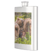 Mama beer verzorgt haar twee cubs, Lake Clark Nati Flacon (Links)