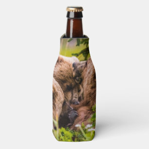 Mama beer verzorgt haar twee cubs, Lake Clark Nati Flesjeskoeler
