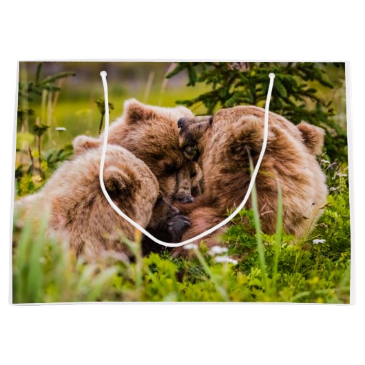 Mama beer verzorgt haar twee cubs, Lake Clark Nati Groot Cadeauzakje (Voorkant)
