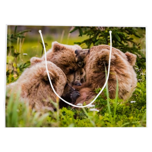 Mama beer verzorgt haar twee cubs, Lake Clark Nati Groot Cadeauzakje (Achterkant)