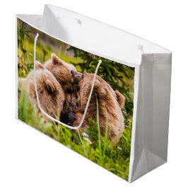 Mama beer verzorgt haar twee cubs, Lake Clark Nati Groot Cadeauzakje