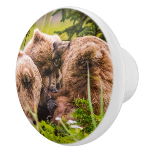Mama beer verzorgt haar twee cubs, Lake Clark Nati Keramische Knop
