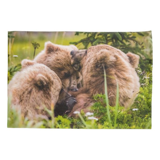 Mama beer verzorgt haar twee cubs, Lake Clark Nati Kussensloop (Achterkant)