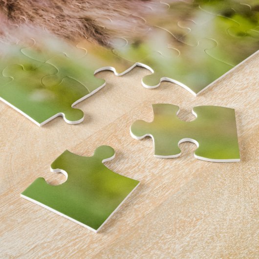 Mama beer verzorgt haar twee cubs, Lake Clark Nati Legpuzzel (Zijkant)