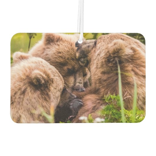 Mama beer verzorgt haar twee cubs, Lake Clark Nati Luchtverfrisser