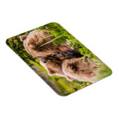 Mama beer verzorgt haar twee cubs, Lake Clark Nati Magneet (Rechterzijde)