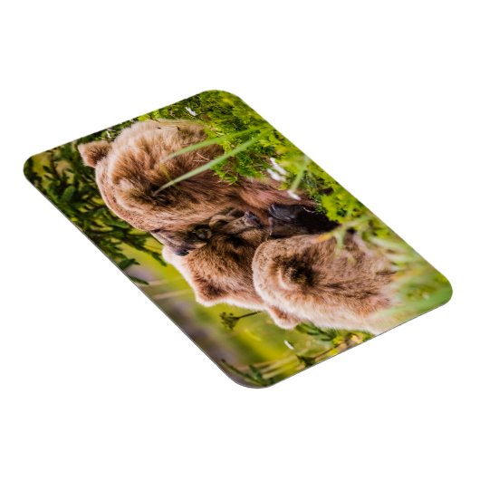 Mama beer verzorgt haar twee cubs, Lake Clark Nati Magneet (Rechterzijde)