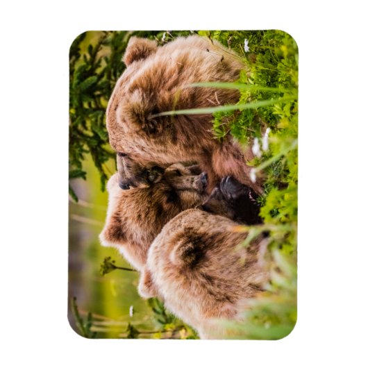 Mama beer verzorgt haar twee cubs, Lake Clark Nati Magneet (Verticaal)