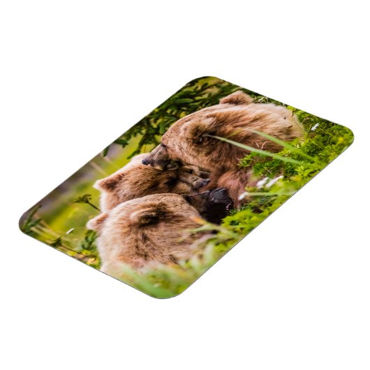 Mama beer verzorgt haar twee cubs, Lake Clark Nati Magneet (Linkerzijde)