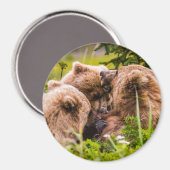 Mama beer verzorgt haar twee cubs, Lake Clark Nati Magneet (Voorkant / Achterkant)