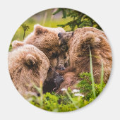 Mama beer verzorgt haar twee cubs, Lake Clark Nati Magneet (Voorkant)