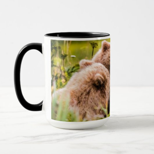 Mama beer verzorgt haar twee cubs, Lake Clark Nati Mok (Links)