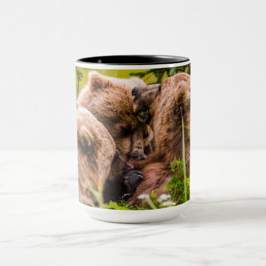 Mama beer verzorgt haar twee cubs, Lake Clark Nati Mok (Midden)