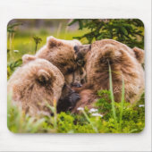 Mama beer verzorgt haar twee cubs, Lake Clark Nati Muismat (Voorkant)