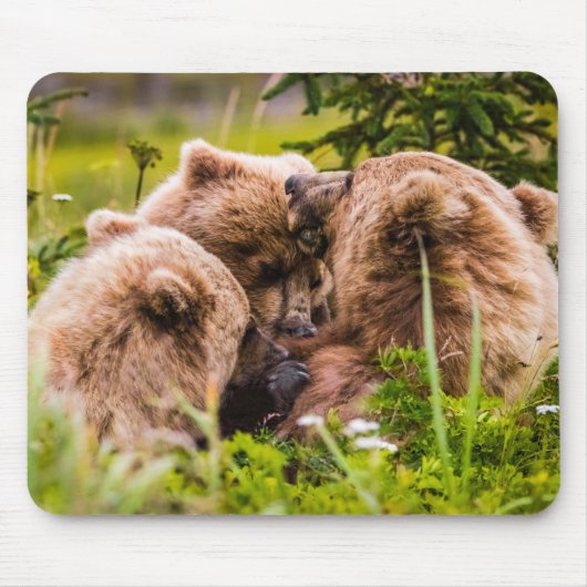 Mama beer verzorgt haar twee cubs, Lake Clark Nati Muismat (Voorkant)