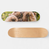 Mama beer verzorgt haar twee cubs, Lake Clark Nati Persoonlijk Skateboard (Horizontaal)