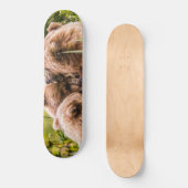 Mama beer verzorgt haar twee cubs, Lake Clark Nati Persoonlijk Skateboard (Voorkant)