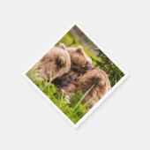 Mama beer verzorgt haar twee cubs, Lake Clark Nati Servet (Hoek)