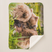 Mama beer verzorgt haar twee cubs, Lake Clark Nati Sherpa Deken (Voorkant)