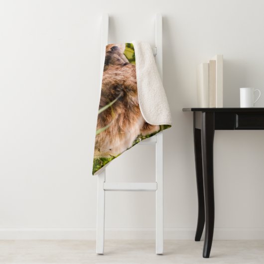 Mama beer verzorgt haar twee cubs, Lake Clark Nati Sherpa Deken (In situ)